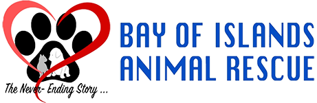 Bay of Islands Animal Rescue